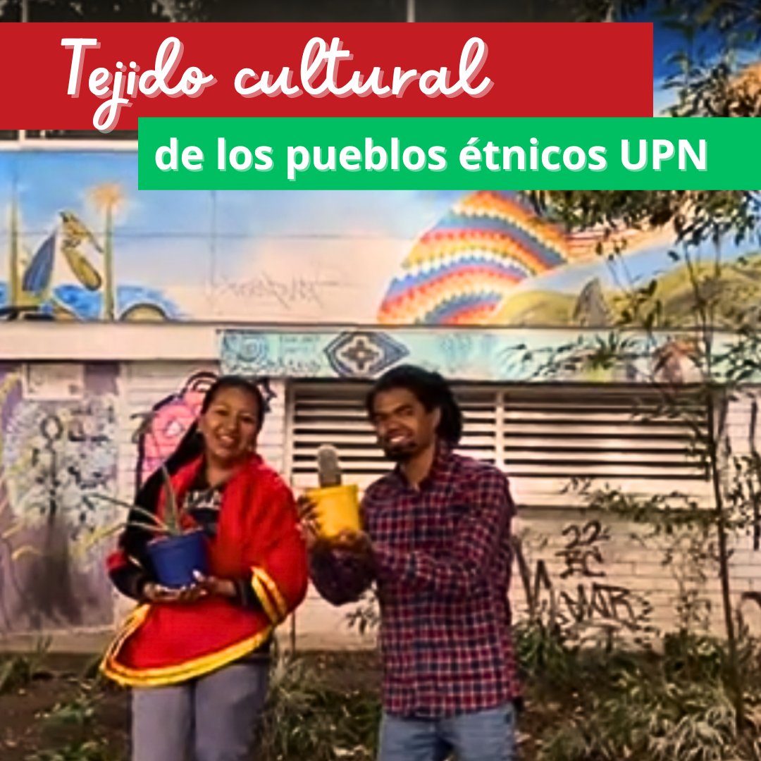 Tejido Cultural De Los Pueblos étnicos UPN